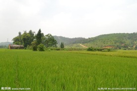 乡村田园