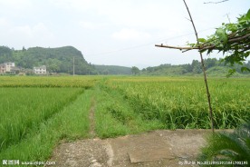 乡村田园