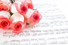 玫瑰 五线谱