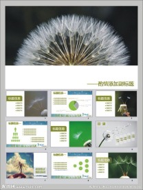 商务 PPT 模板