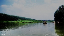 悠然的湿地