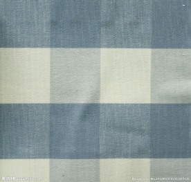 纺织品 蓝格子 面料