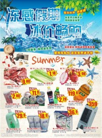 冻感假期 冰价畅购