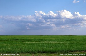 草原风景