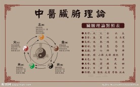 中医脏腑理论