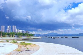 大海景观 深圳蛇口