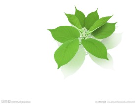绿色叶子