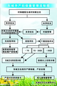 流程图