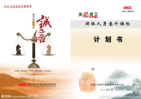 财保公司计划书