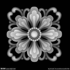 花鸟图