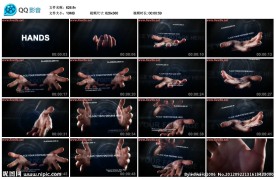 手掌AE模版