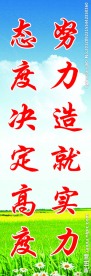 班级文化建设