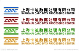 上海卡迪数据处理有限公司