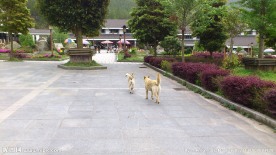 明月山一角(非高清)