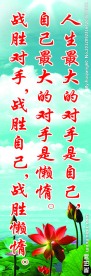 班级文化建设