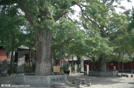 法王寺