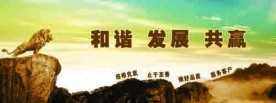 公司形象墙设计