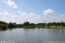 公园小桥