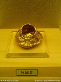 马蹄金