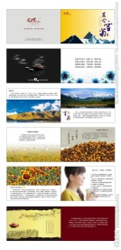 血菊产品手册