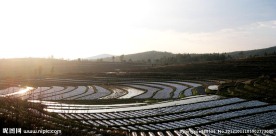 斜阳梯田
