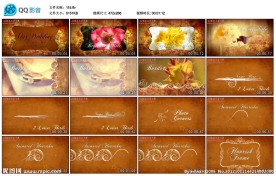 鲜花美女相册AE模板