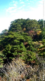 黄山