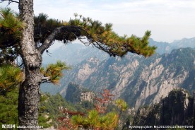 黄山