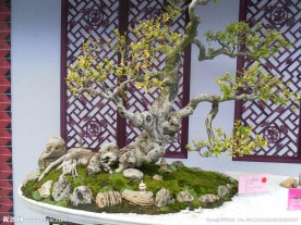 花卉艺术