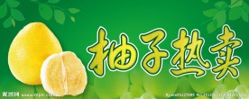柚子热卖