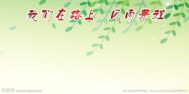 飘柳