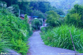 高山风景 半岭远眺