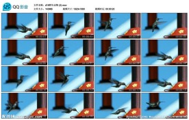 蜂鸟高清实拍视频素材