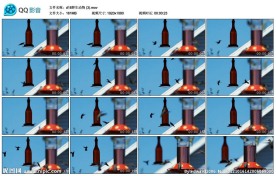 蜂鸟高清实拍视频素材