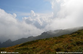 高山草甸