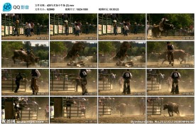 斗牛士高清实拍视频素材