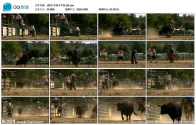 骑野牛比赛高清实拍视频素材