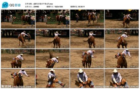 骑马比赛高清实拍视频素材