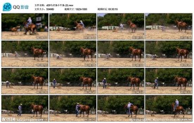 驯服野马高清实拍视频素材