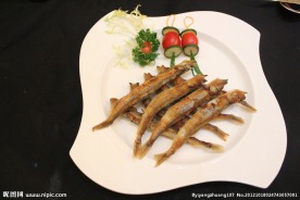 多春鱼
