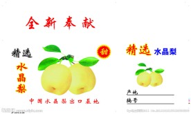 水晶梨箱子