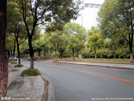 街道