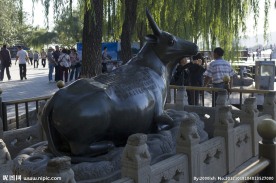 颐和园铜牛