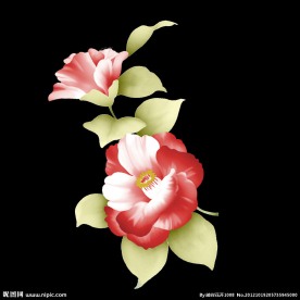 欧式花卉图案
