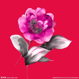 手绘水彩花