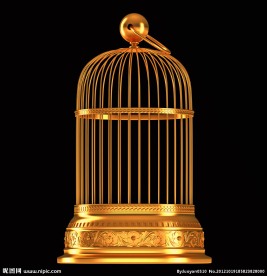 金色鸟笼图