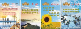 企业文化海报