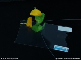 SE手机膜拍摄图片