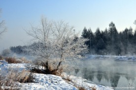 雪景