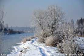雪景